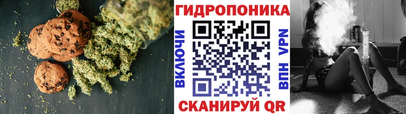 магазин    Козьмодемьянск  Cannafood конопля 