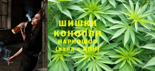 дурь Арсеньев